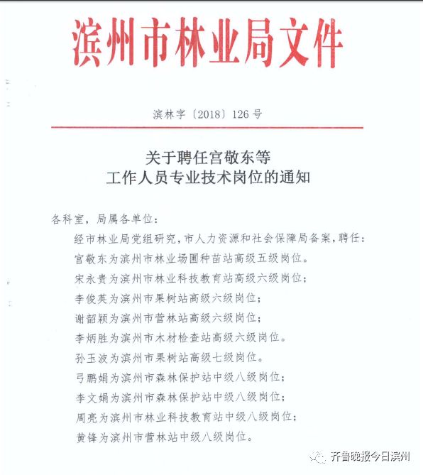 宁波人事任免更新，时代步伐与人事变迁的共鸣