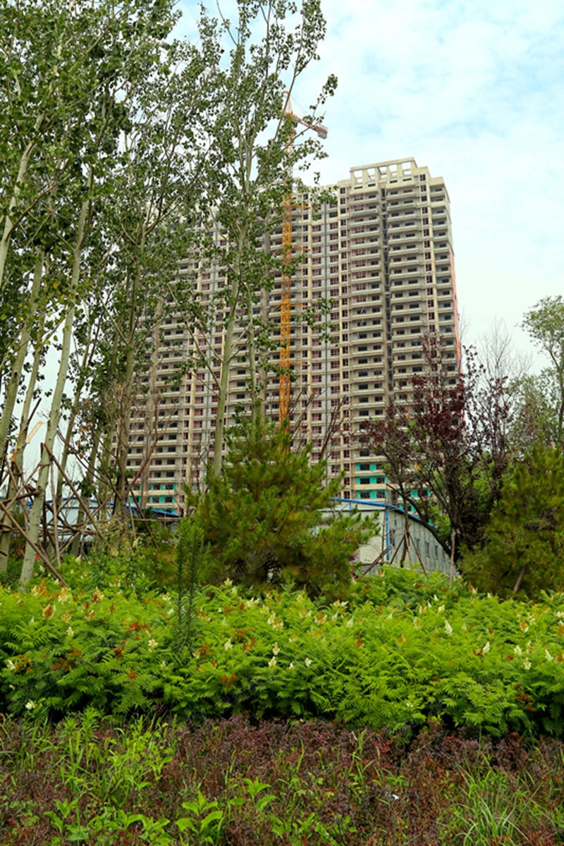 太原公园美地最新房价揭秘，温馨故事背后的房价真相
