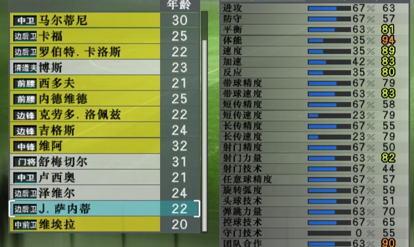 实况足球2009转会补丁最新动态，多方观点探析与个人立场选择