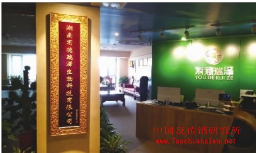 德瑞泽集团最新动态，心灵与自然的奇妙之旅