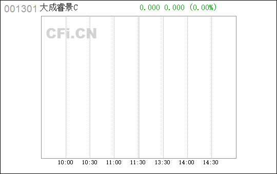 探寻大成睿景最新净值之旅，内心宁静之地的最新净值探索
