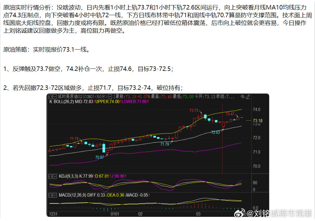 下周原油走势分析最新消息详解，趋势分析与操作指南