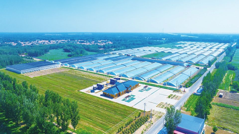 边临镇最新规划，重塑未来，激发无限潜能新展望