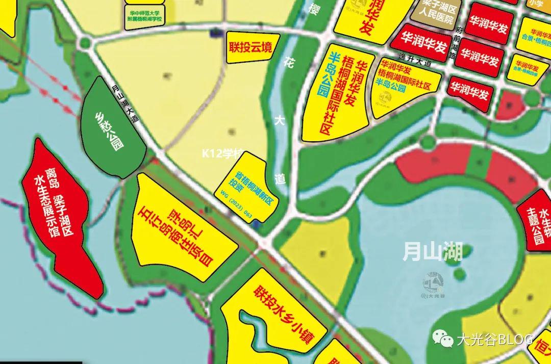 梧桐湖新区最新动态揭秘，发展进展与未来前景探讨