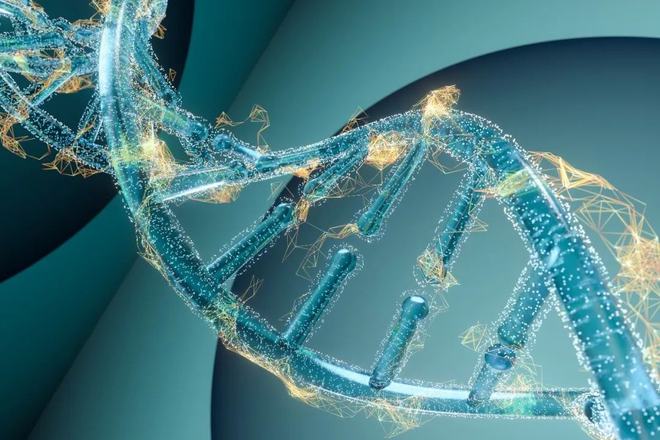 基因编辑技术最新突破,基因编辑技术最新突破