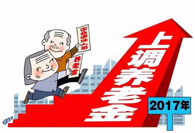 最新退休政策详解，步骤指南与规定概述