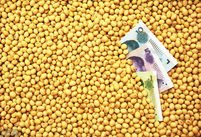 今年土豆价格回顾与洞察，最新动态及趋势分析