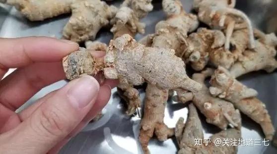新能源汽车电池安全技术 第20页