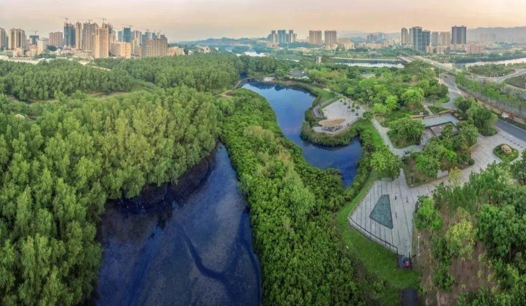 惠州大亚湾最新房价走势及分析