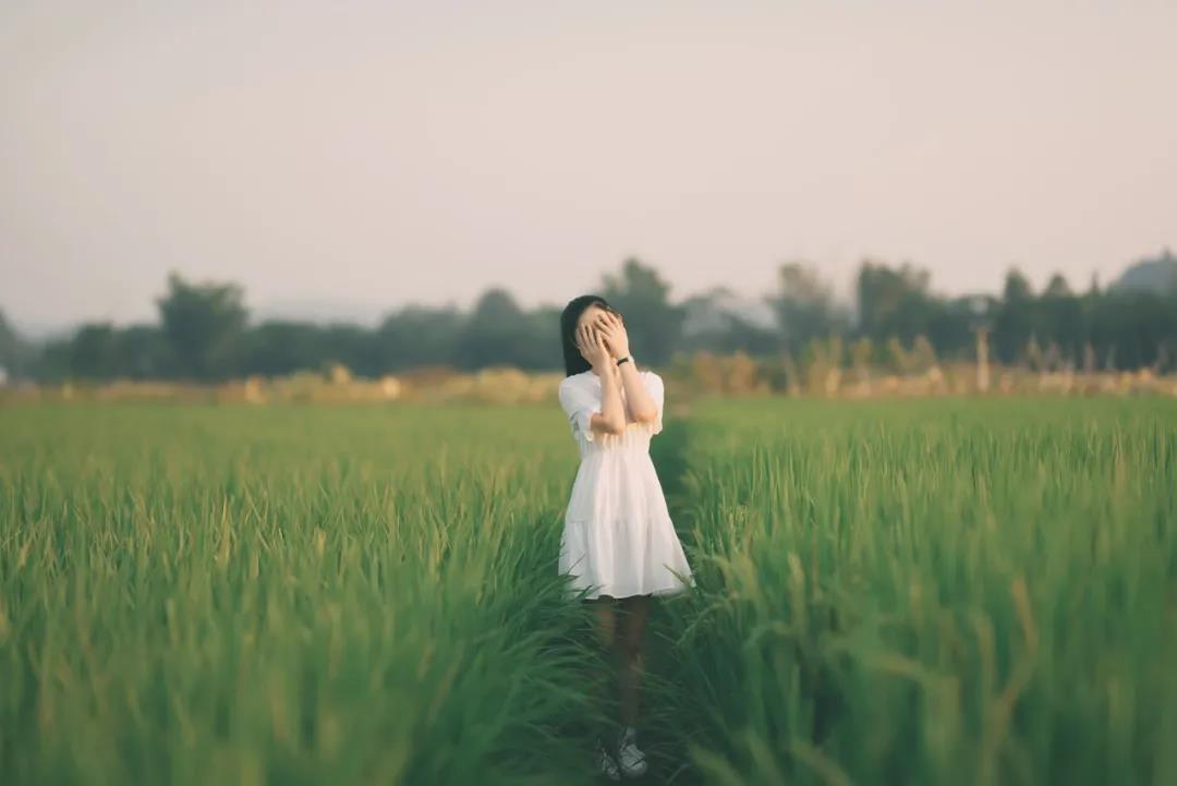 宋智孝最新韩剧，自然美景的治愈之旅，探寻内心平静之旅