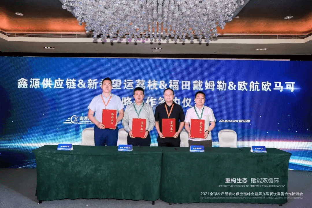 仁和股票最新动态，科技重塑未来，革新之旅体验新境界