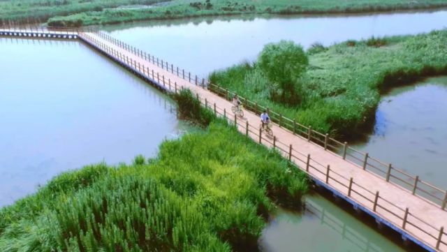 正定新区审批最新动态，自然美景探索之旅启程