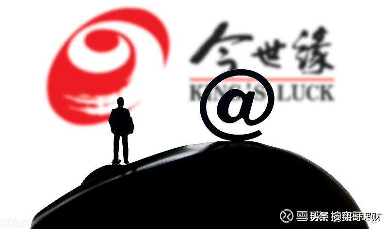 今世缘最新一期深度解读与观点阐述全析