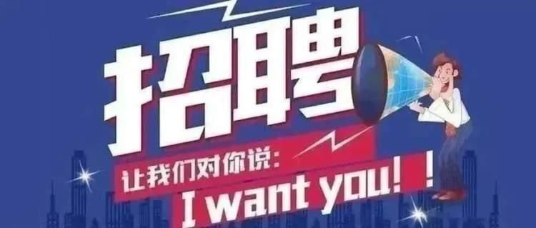凤岗司机最新招聘信息探索，小巷特色小店奇遇记招募驾驶人才