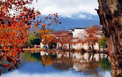 莫念施暮，自然美景中的心灵探索之旅