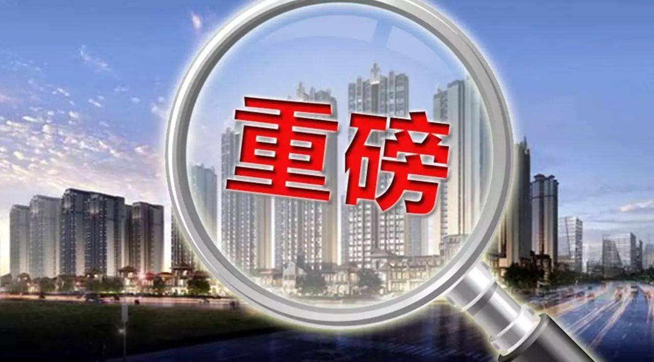 金藏国际最新动态，全面理解与参与指南