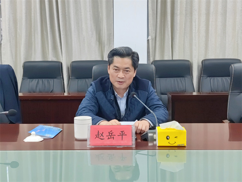 安陆赵岳军最新职务揭秘，成长轨迹与成就探寻
