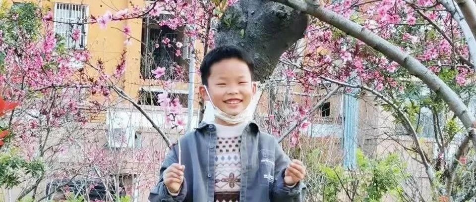新泰张宸，心灵与自然的奇妙旅行最新消息